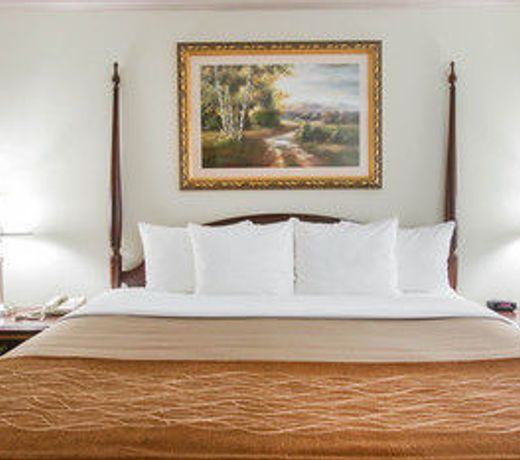 Comfort Inn Plainwell