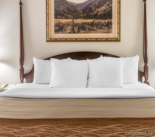 Comfort Inn Plainwell