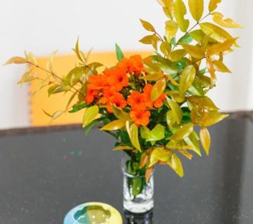 Bangtao Guest House