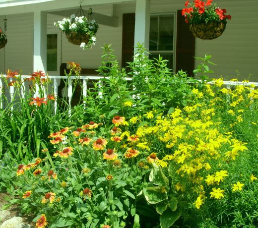 Cranmore Mountain Lodge Bed & Breakfast