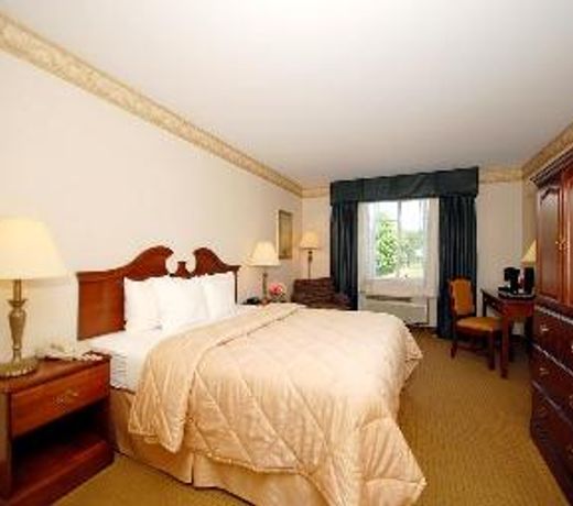 Comfort Inn & Suites East Greenbush - Albany