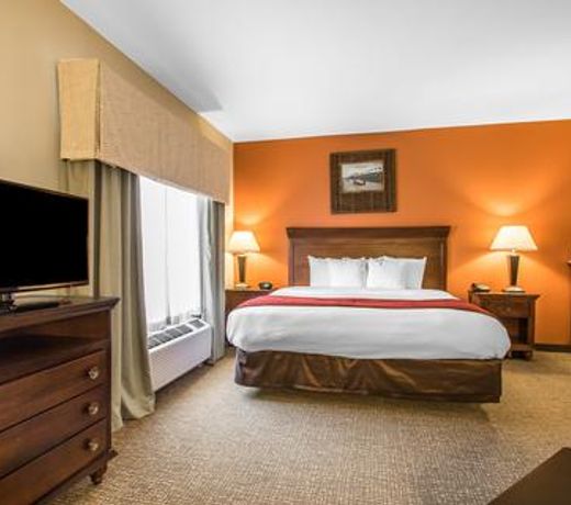 Comfort Suites Pelham Hoover I-65