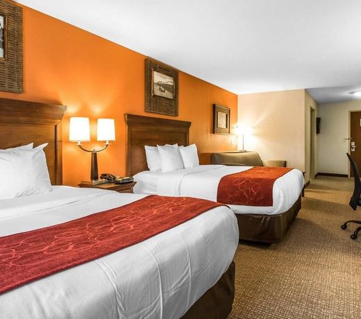 Comfort Suites Pelham Hoover I-65