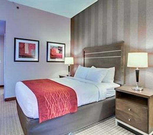 Quality Inn & Suites Bel Air I-95 Exit 77A