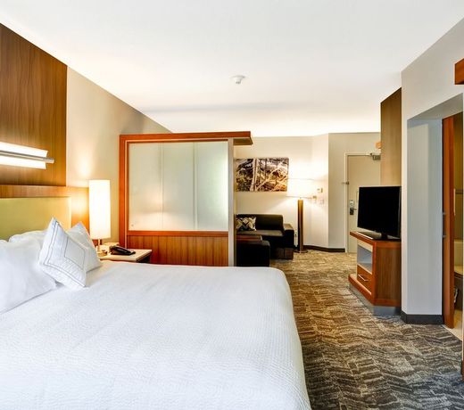 SpringHill Suites by Marriott Columbia