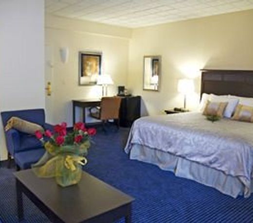 BEST WESTERN PLUS TURTLE BROOK INN