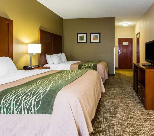 Comfort Inn & Suites Cave City