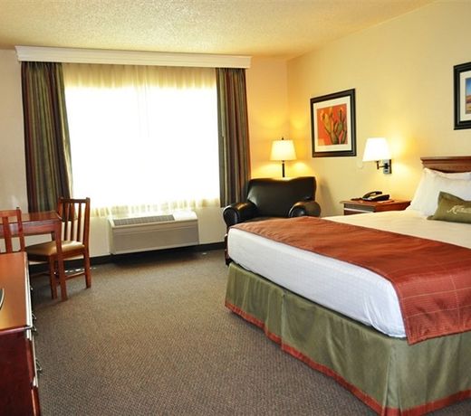 Avi Resort & Casino