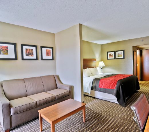 Comfort Inn & Suites Raphine - Lexington near I-81 and I-64
