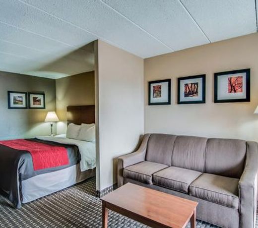 Comfort Inn & Suites Raphine - Lexington near I-81 and I-64