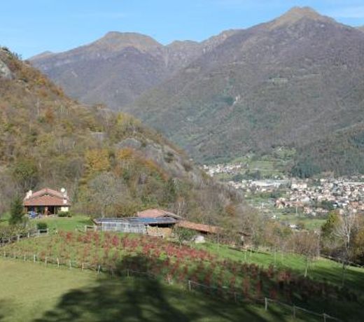 Agriturismo Il Mirtillo B,B