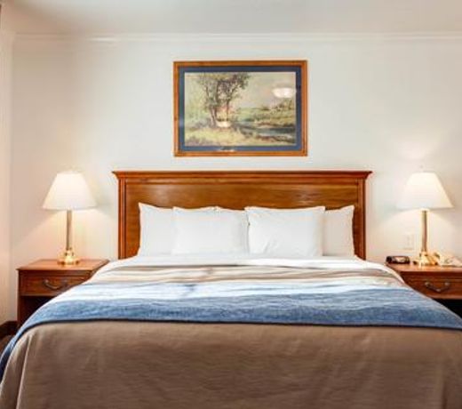 Best Western Paradise Hotel