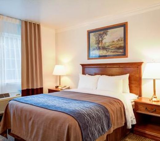 Best Western Paradise Hotel
