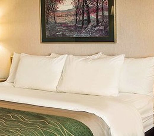 Comfort Inn Charlotte