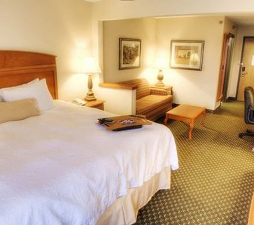 Hampton Inn Decatur/Forsyth
