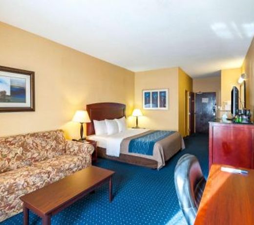 Comfort Inn and Suites North East