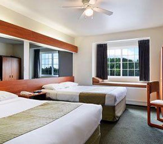 Eagle River Microtel