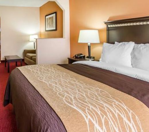 Comfort Inn & Suites Lincoln Talladega I-20