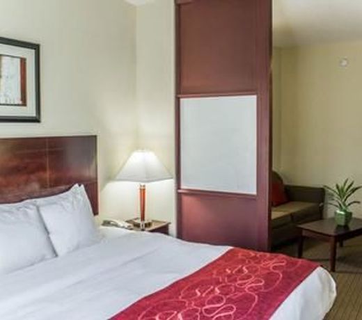 Comfort Suites Clayton - Garner