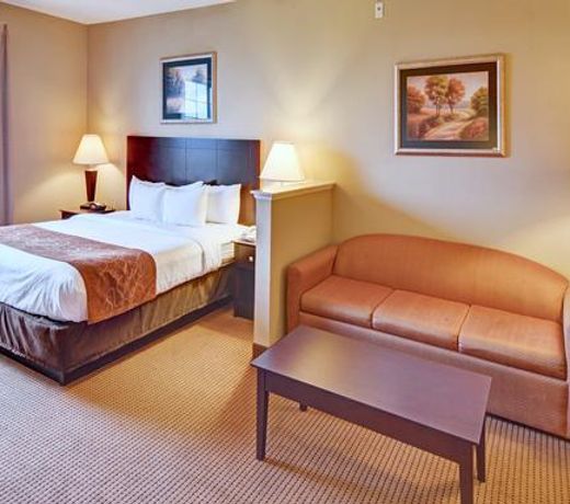 Comfort Suites Roanoke - Fort Worth North