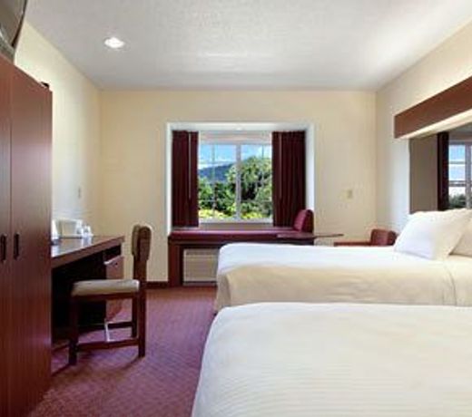 Microtel Inn & Suites by Wyndham Hamburg