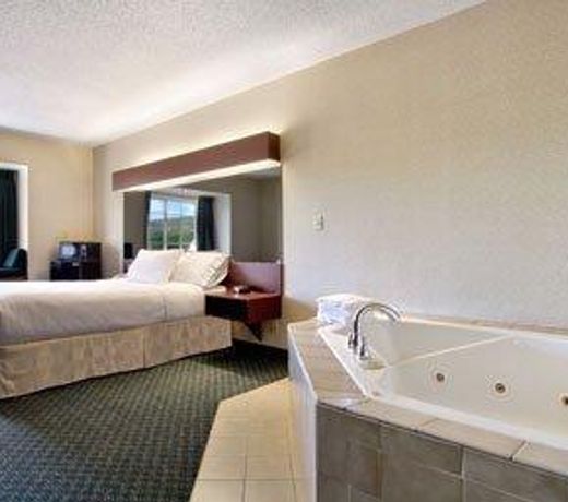 Microtel Inn & Suites by Wyndham Hamburg