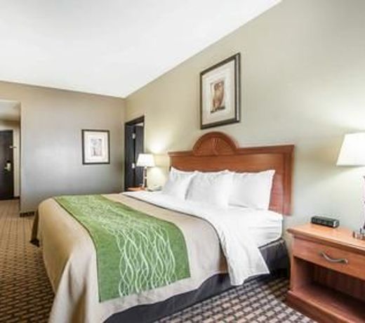 Comfort Inn Willow Springs
