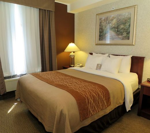 Comfort Inn & Suites Medicine Hat