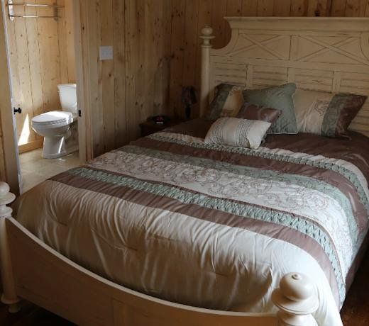Trinity Eco-tours Lodge
