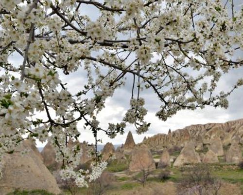 Grand Cave Suites - Гореме - фото 20