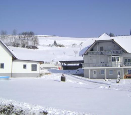 Sonnenwiese in Unterlamm 58