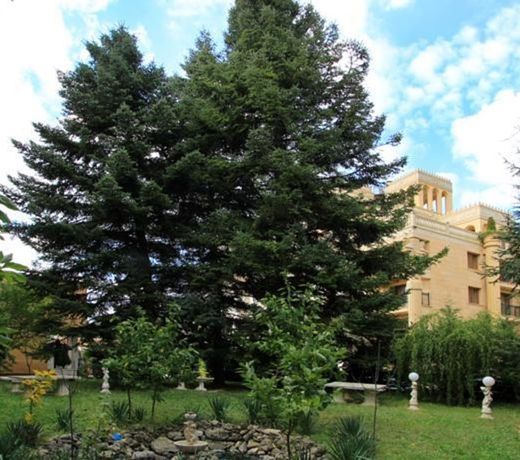 Bona Vita SPA Hotel