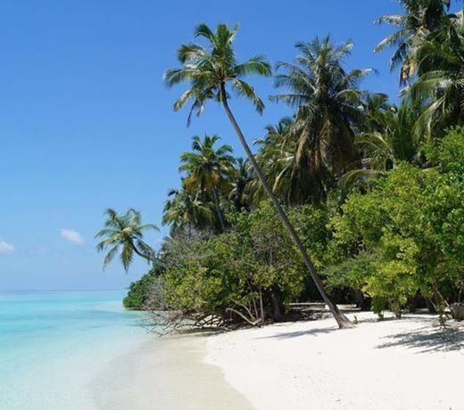 Orchid Island Lodge