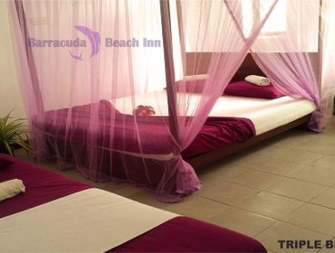 โฮสเทล Aurora Beach Hostel - Negombo