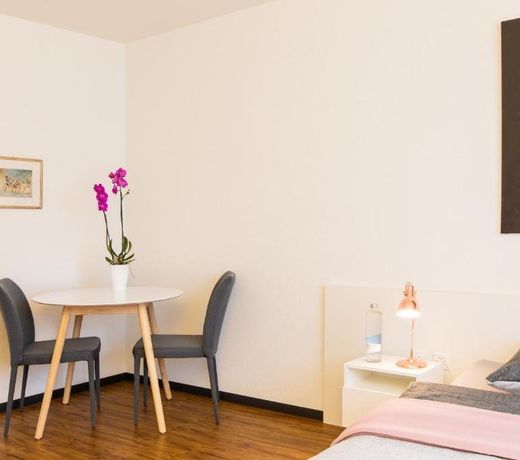 Apartmenthaus zum Trillen Basel City Center
