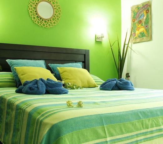 Maya Vacanze Playa Quinta B&B