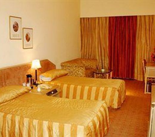 Hotel Piccadily Raipur