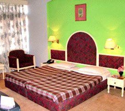 Hotel Alpine Continental