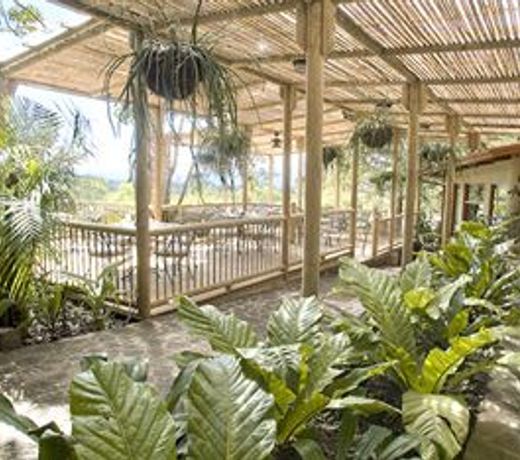 Finca Rosa Blanca Coffee Plantation and Inn