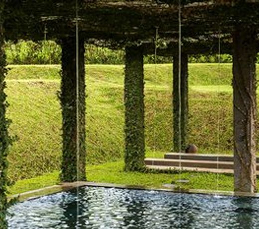 Tea Garden Resort