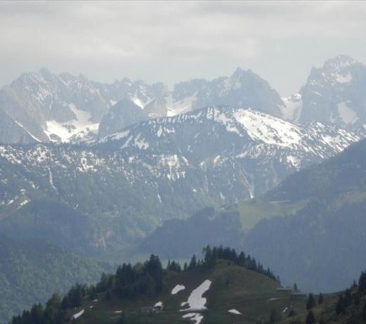 Lochner Alm