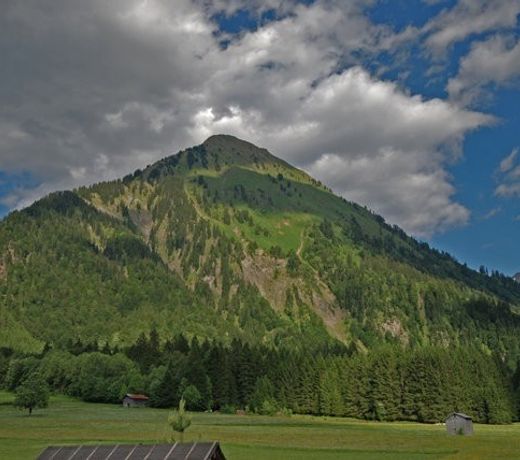 Pfefferkorn Angelina - Haus Pfefferkorn