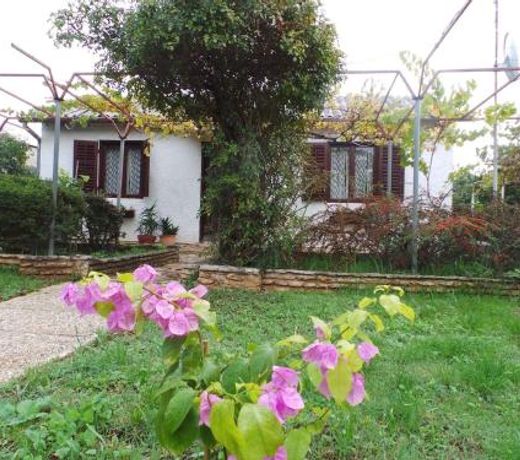 Holiday home in Fazana/Istrien 11242