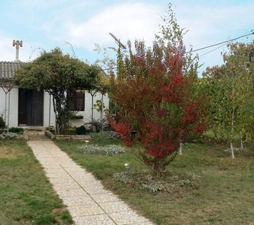 Holiday home in Fazana/Istrien 11242