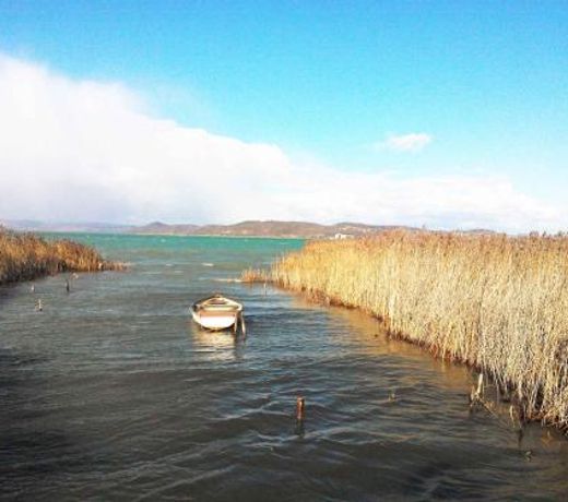 Holiday home in Szantod/Balaton 20220