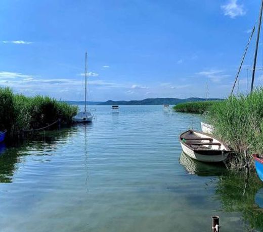 Holiday home in Szantod/Balaton 20220