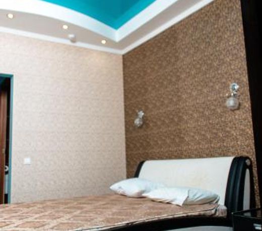 Svetlana Plus Hotel