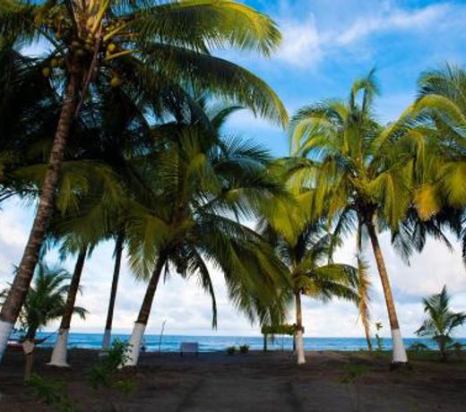 Hotel Tortuguero Beachfront