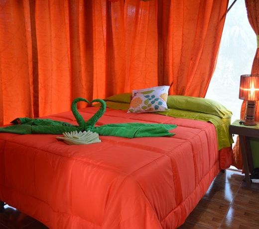 Hotel Tortuguero Jungle