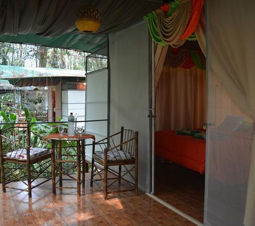 Hotel Tortuguero Jungle